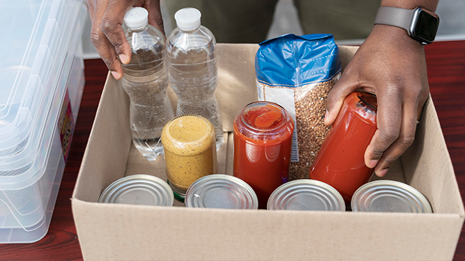 Food Security Program